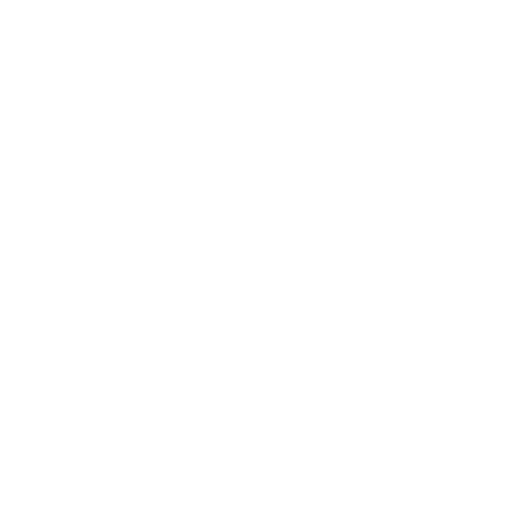PREMIER AUTO SALE